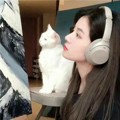 一见又倾心